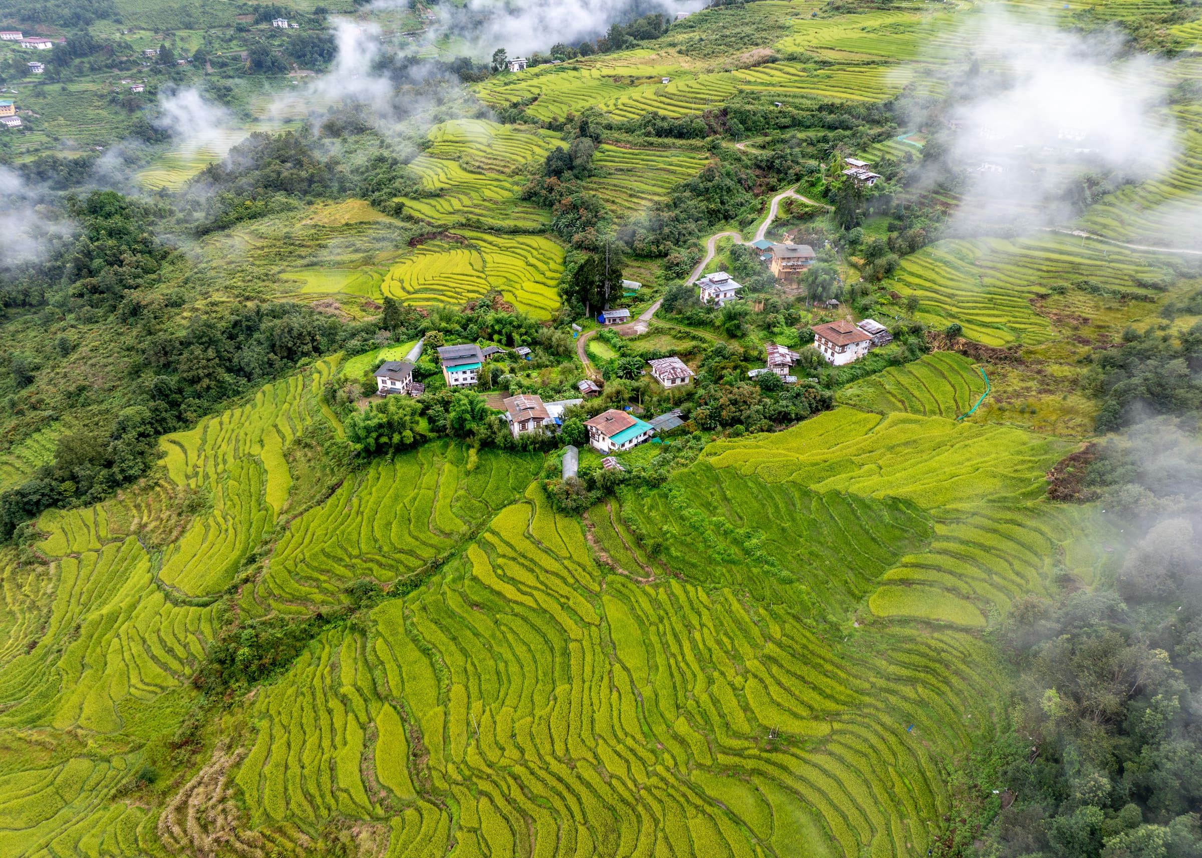 Scenic village and rice fields in Bhutan